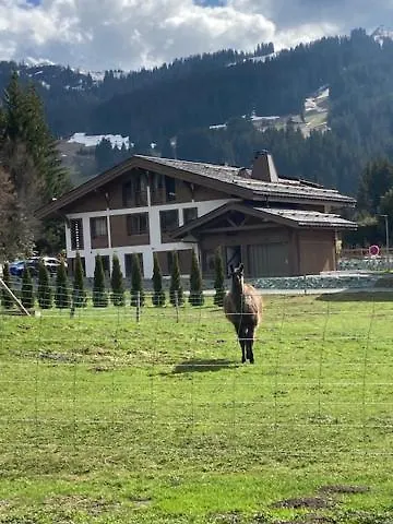 Le 1307 Apartment Megeve